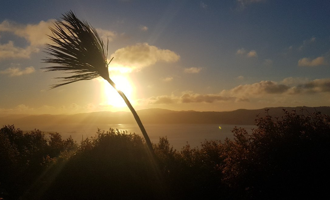 Wainui Lookout景点图片