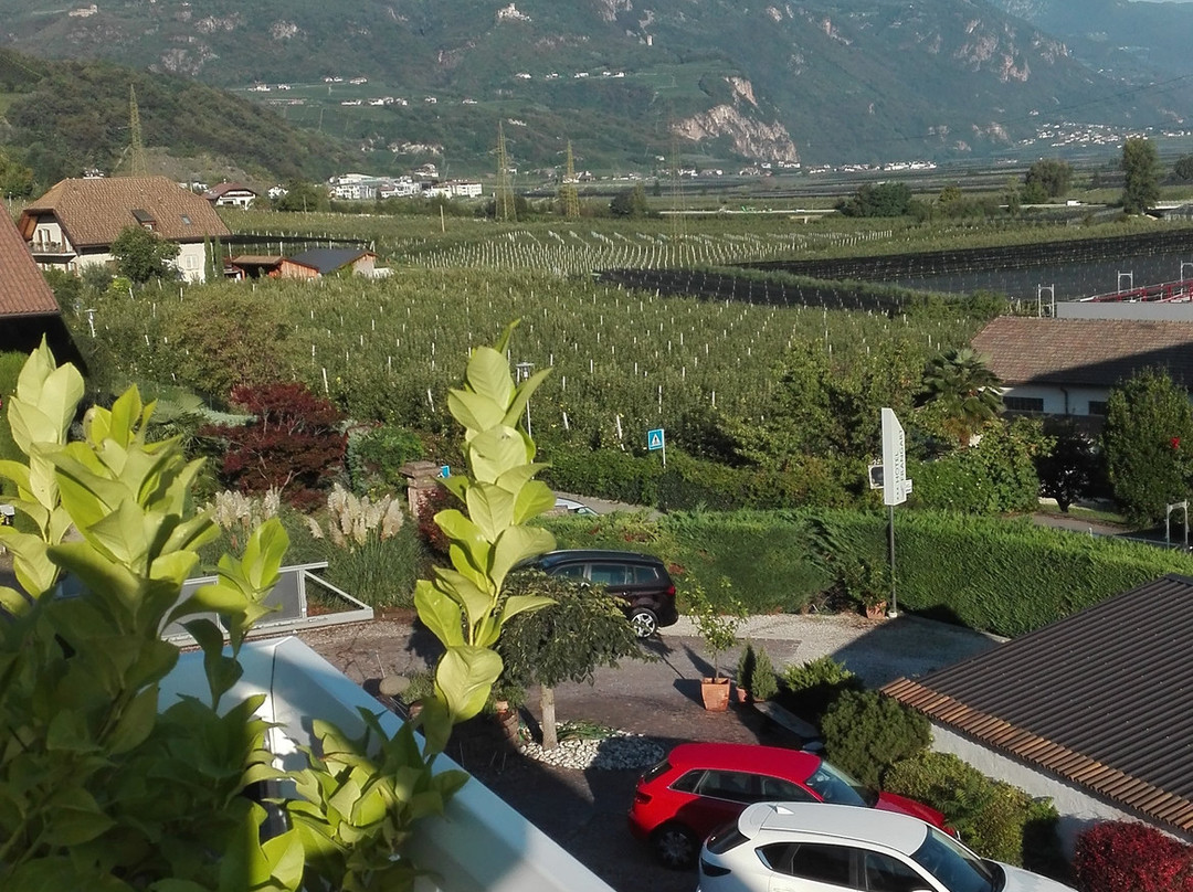 Hotel Frangart主图