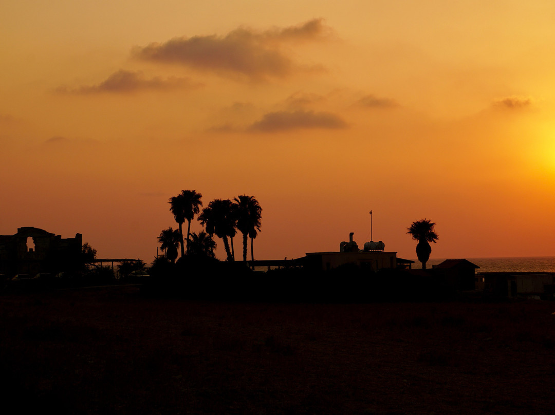 Oasis At Ayfilon主图