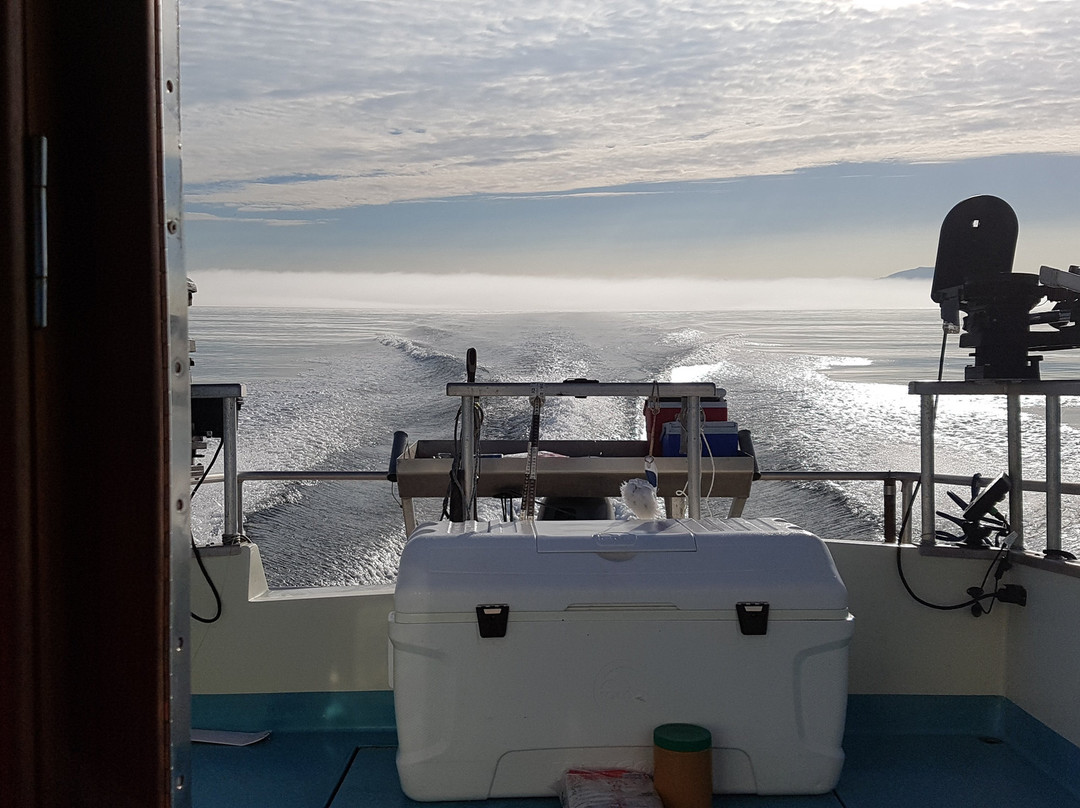 Sea West Fishing Charters景点图片