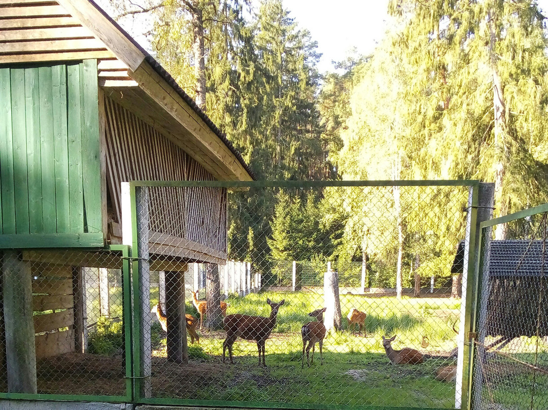Forest Zoo