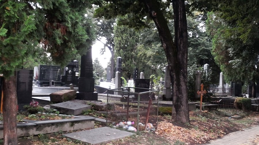 Uspensko Groblje景点图片