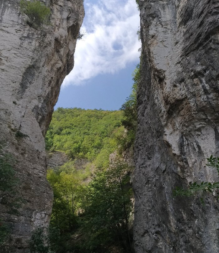 Rio Vitoschio-Apecchio必去景点