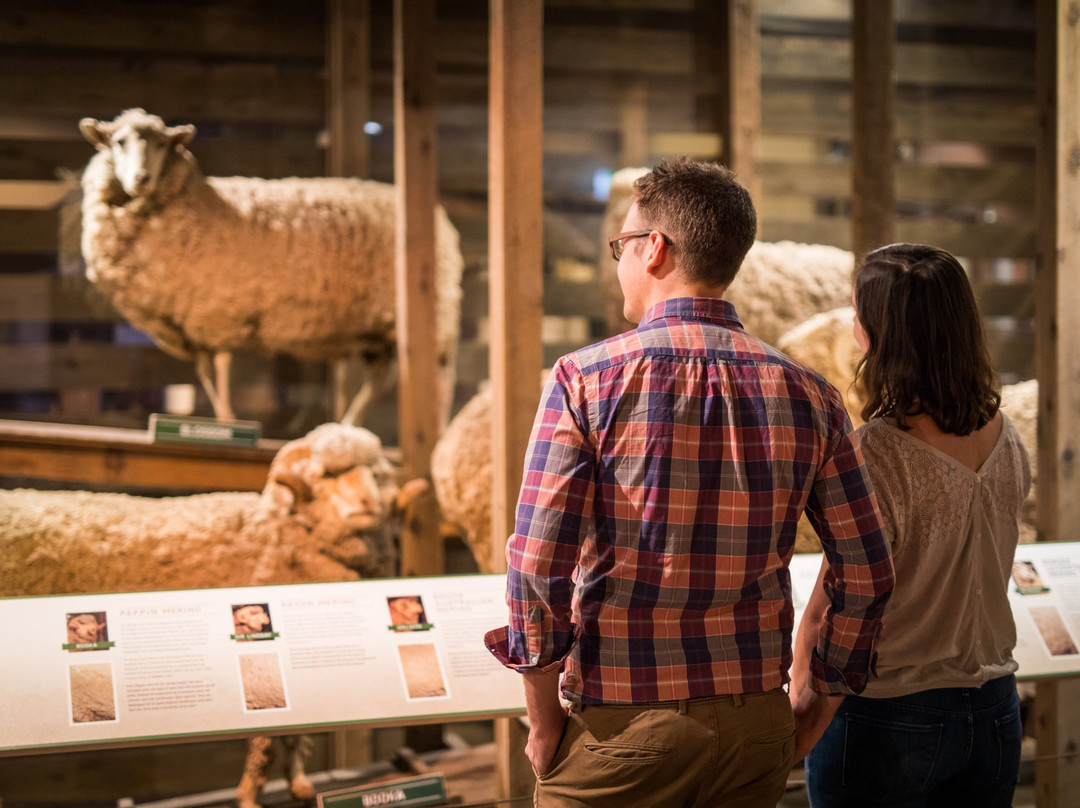 National Wool Museum-季隆必去景点