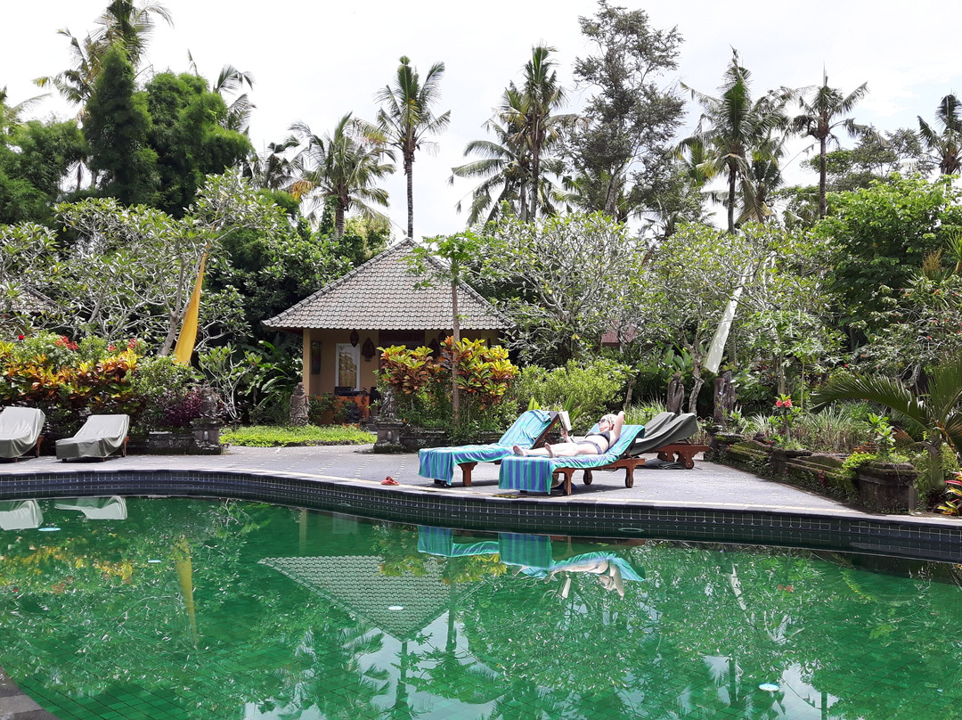 丹拉美那艺术度假村主图