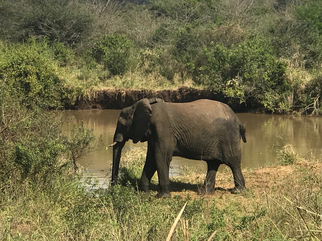 Aloe View Rock Lodge主图