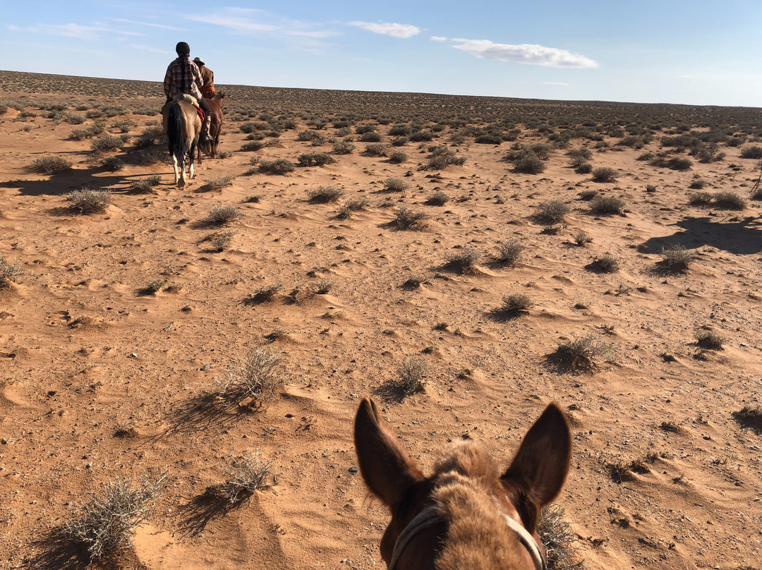 Horse Trek Mongolia-乌兰巴托必去景点