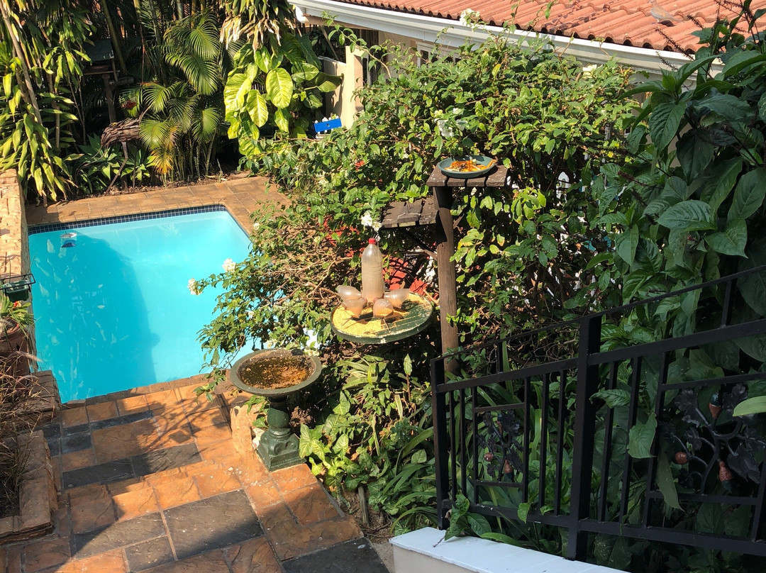 Acorn B&b In Durban主图