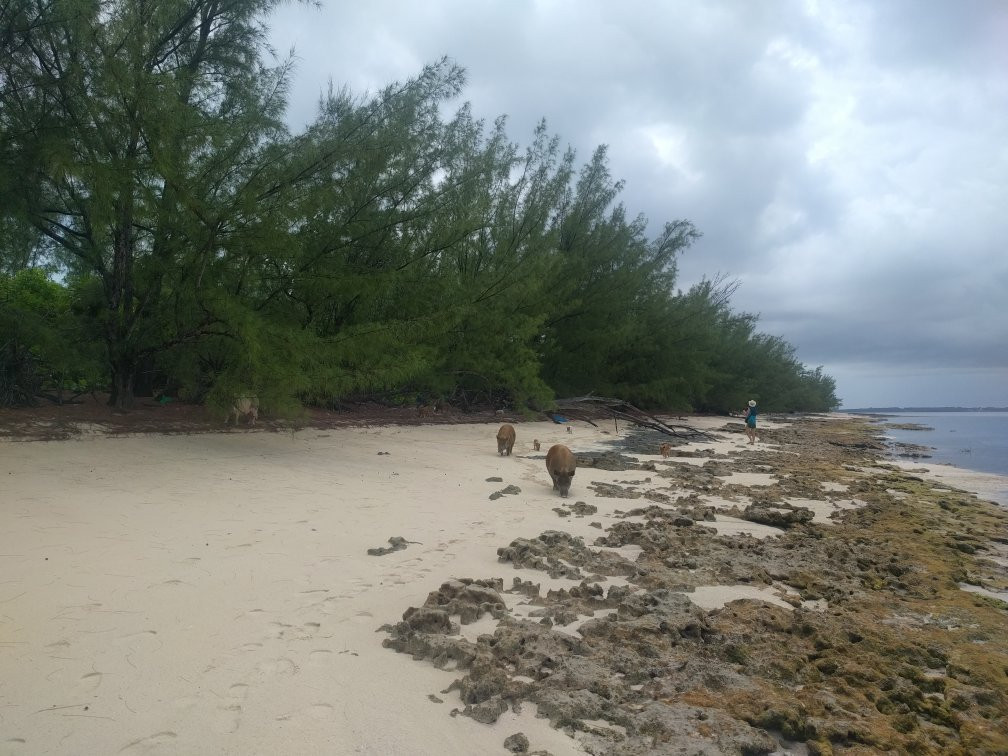 Treasure Cay Boat Rentals景点图片