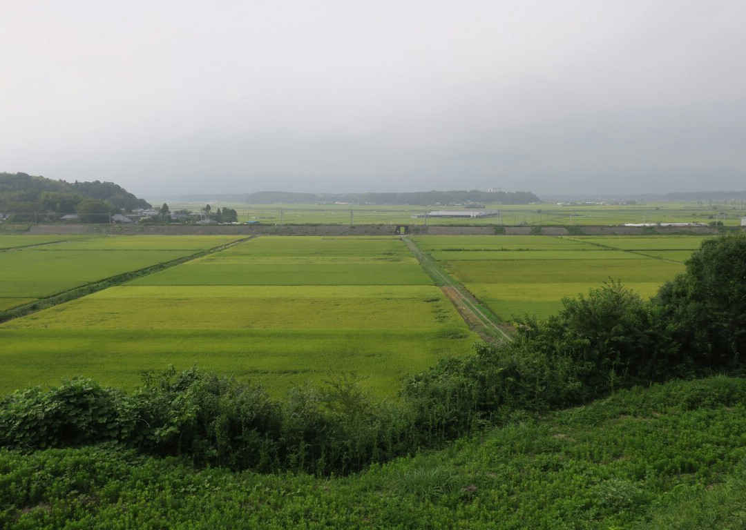Motosakura Castle Ruins-酒酒井町必去景点