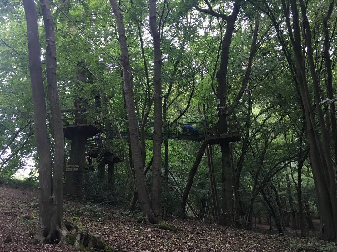 Espace Normandie Aventure景点图片