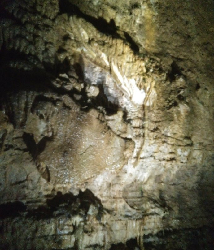 Erdmannshöhle-Hasel必去景点