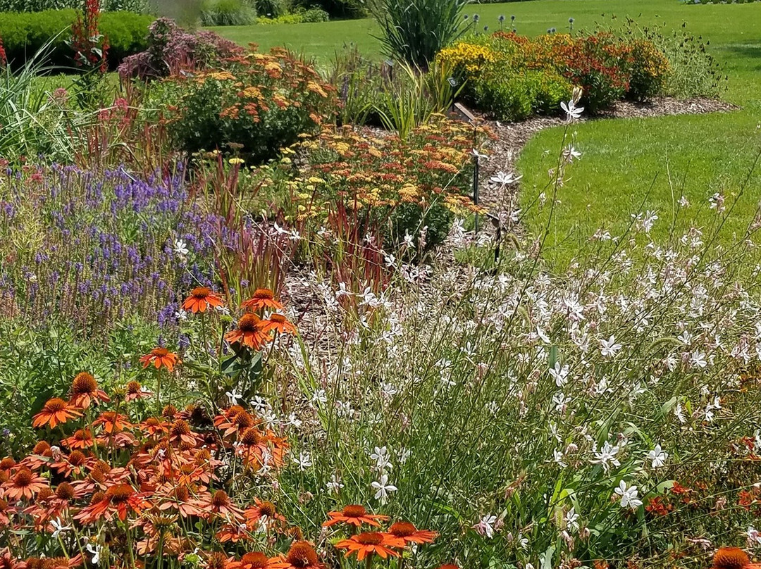 Michigan State University Horticultural Gardens景点图片