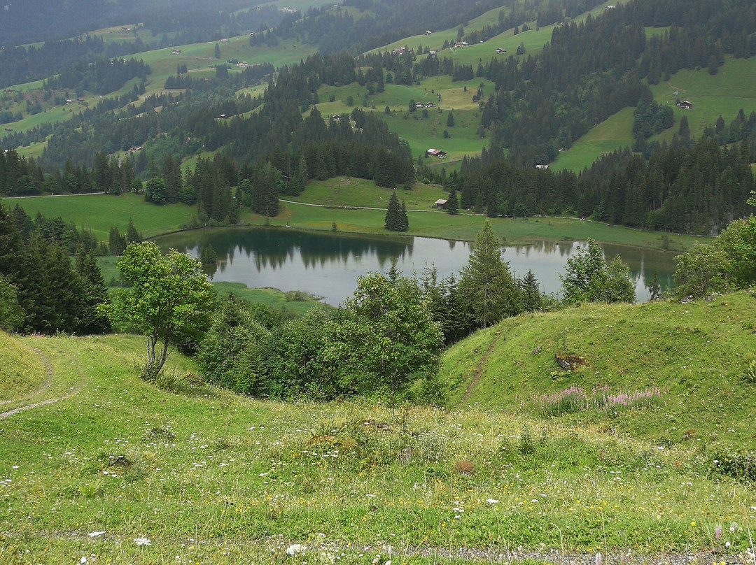 Lauenensee Loop Trail景点图片