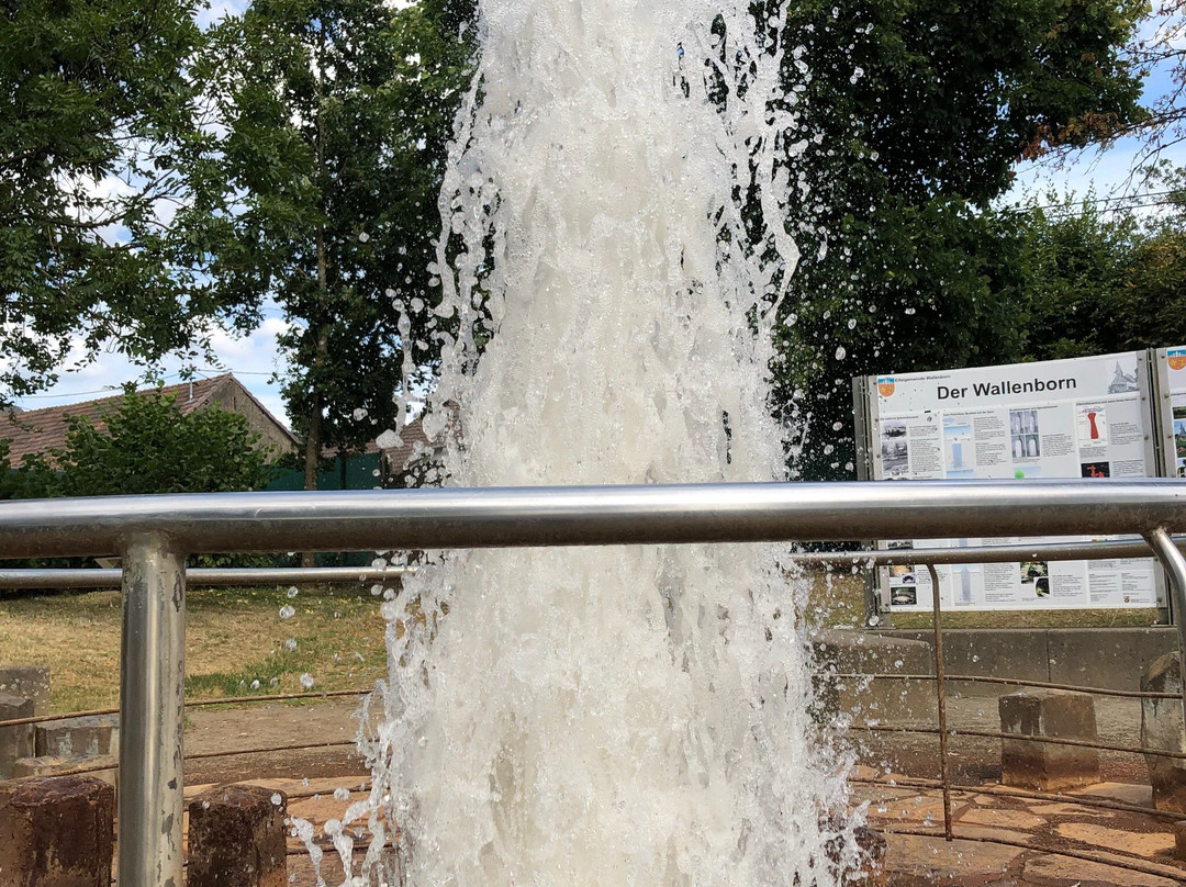 Wallenborn旅游攻略图片