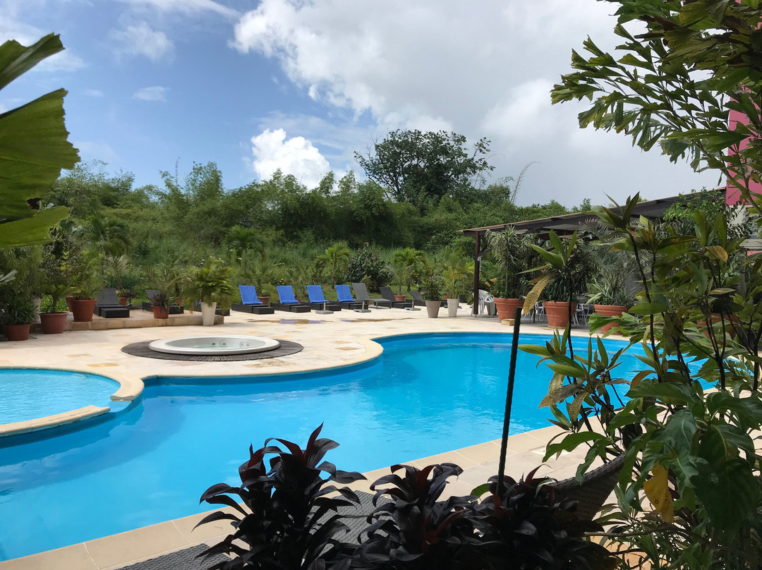 Mercure Cayenne Royal Amazonia主图