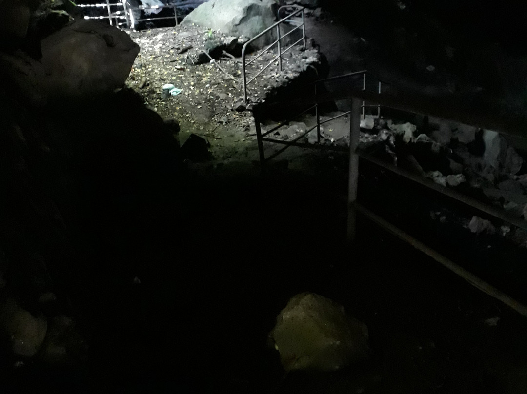 LA Cueva de la Orquidea-哈拉帕必去景点