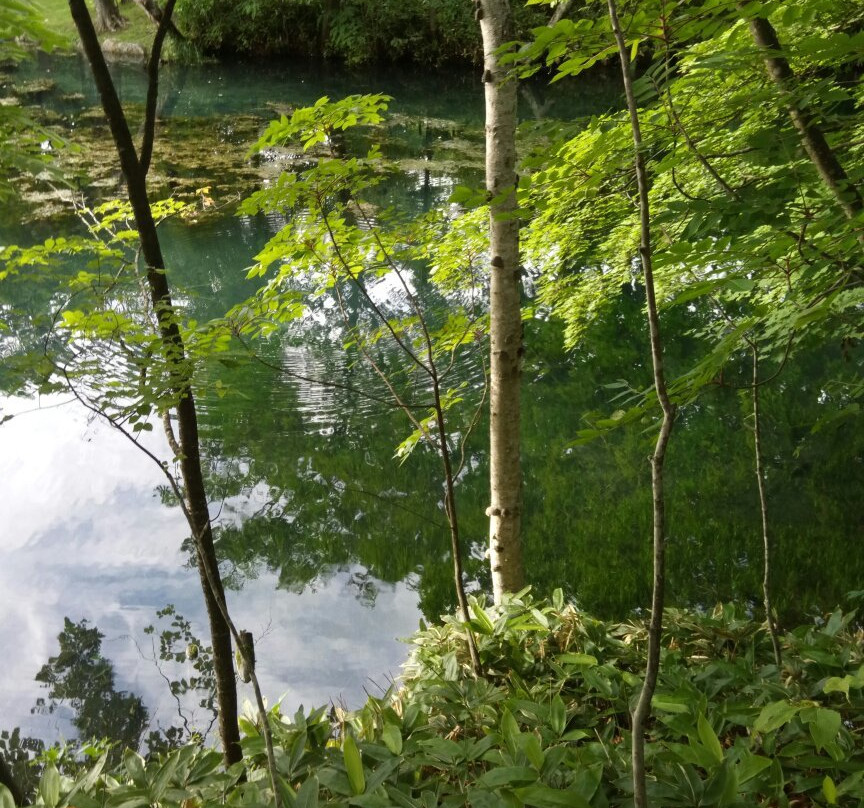 Torinuma Park-富良野市必去景点