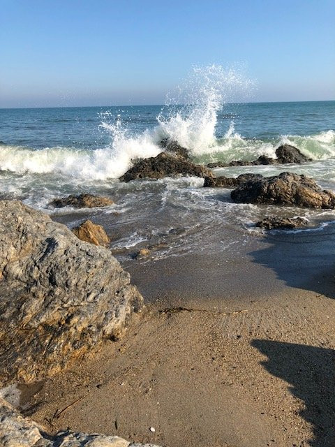 Pacific Long Beach-田原市必去景点