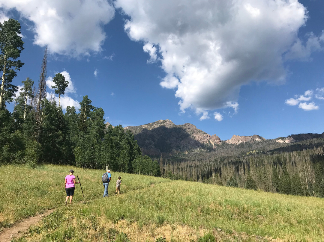 Fourmile Falls Trail-帕戈萨斯普林斯必去景点