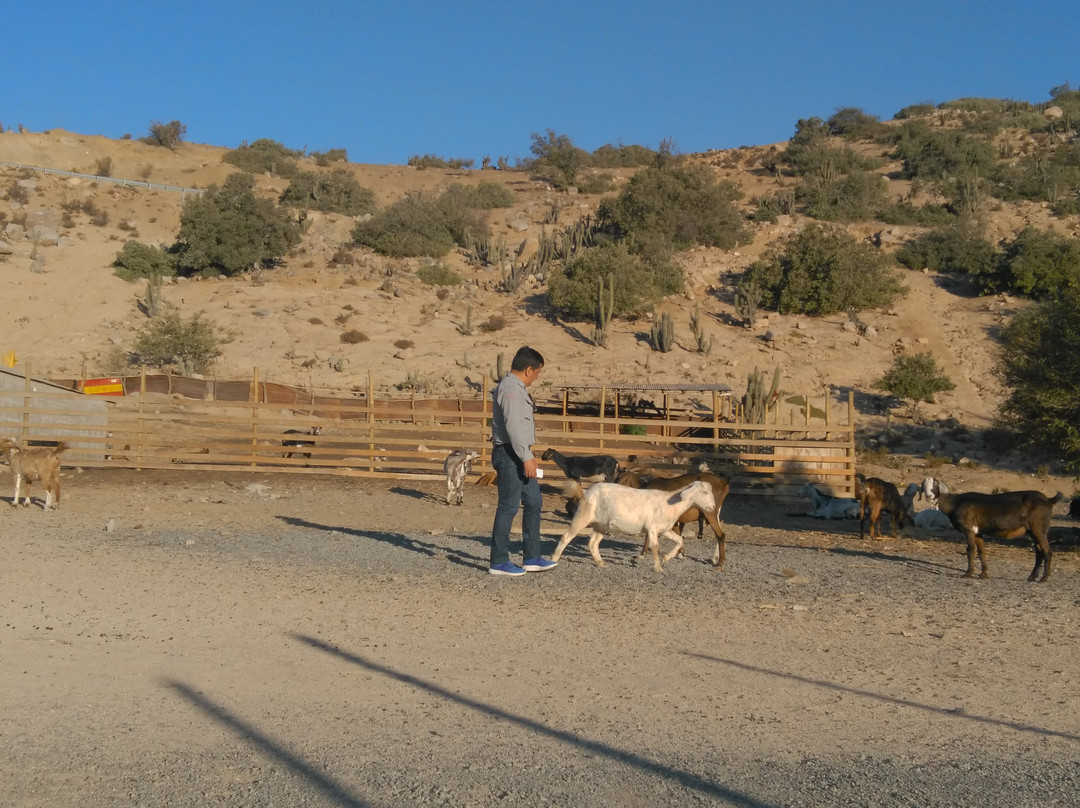 Salamanca旅游攻略图片