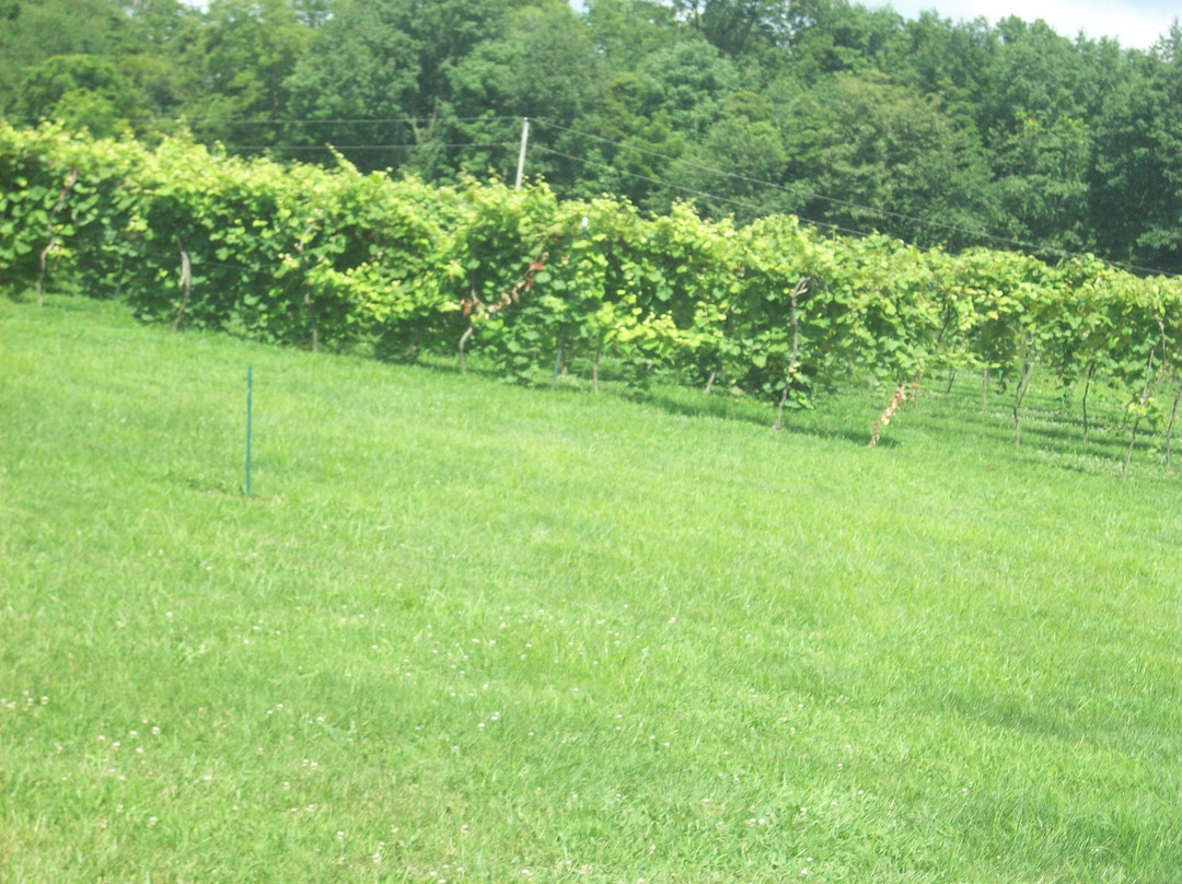 Apple Creek Vineyard & Winery-Friedheim必去景点