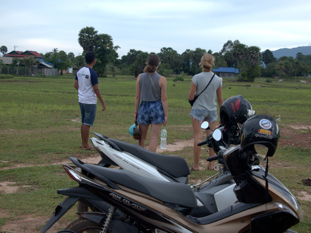 Scooter Trails景点图片