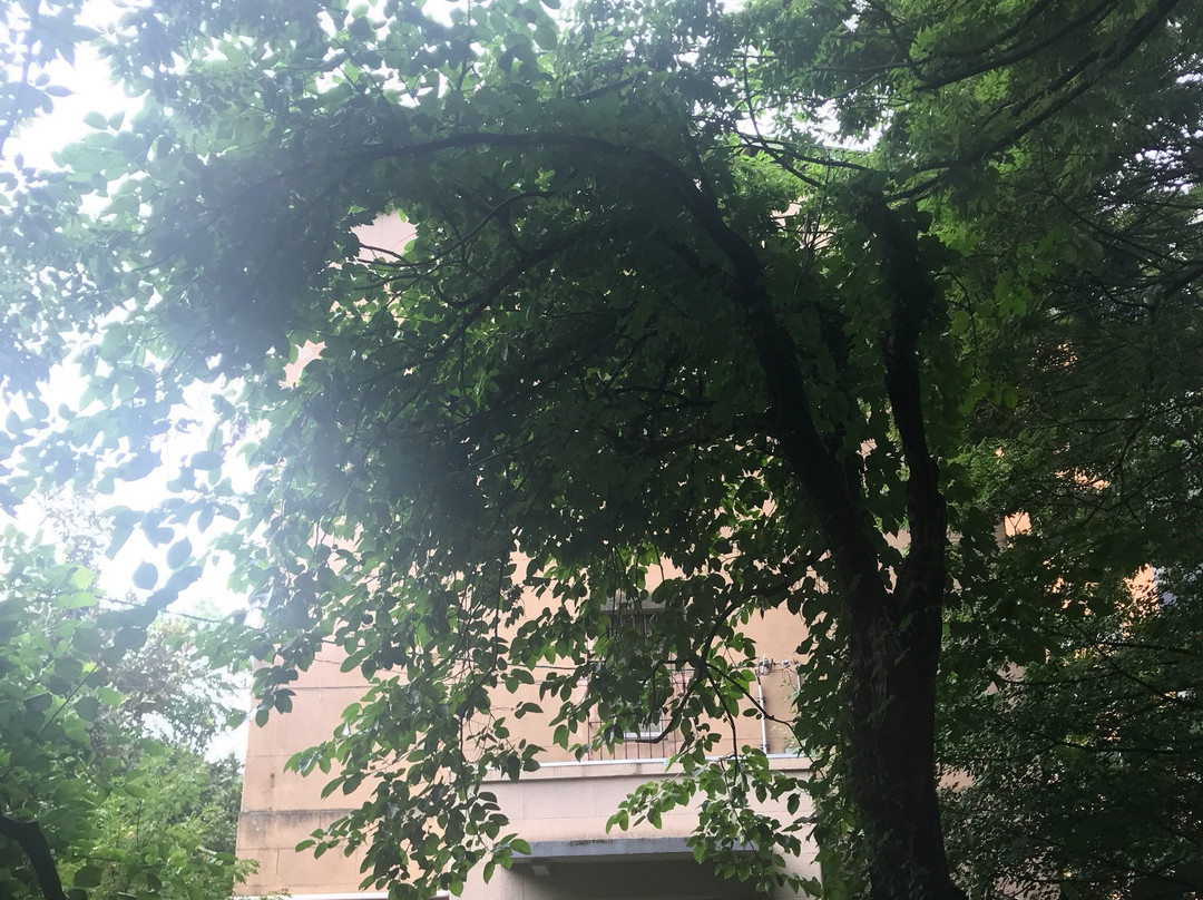 Nyozezou Museum-长冈市必去景点