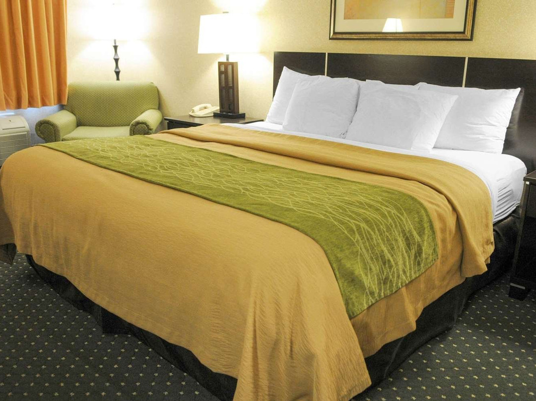 Comfort Inn & Suites Alameda at Albuquerque Balloon Fiesta Park主图