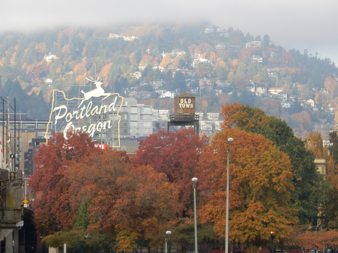 The Portland Insider景点图片