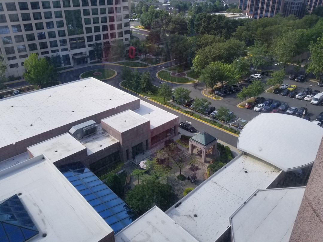 Hyatt Regency Dulles主图