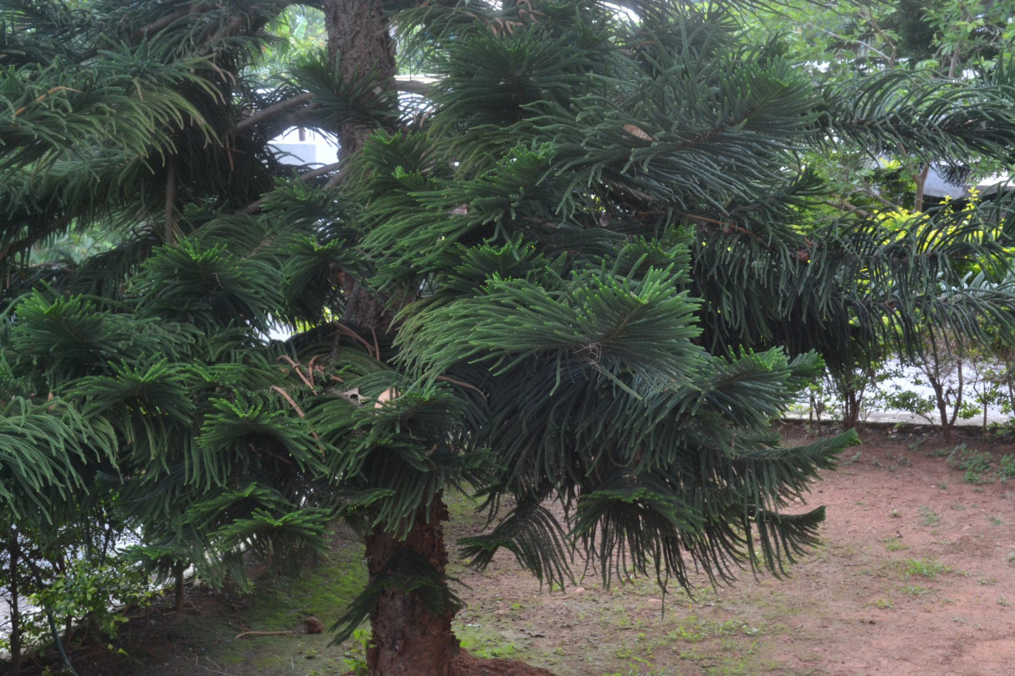 Deers Eco Home-浴室