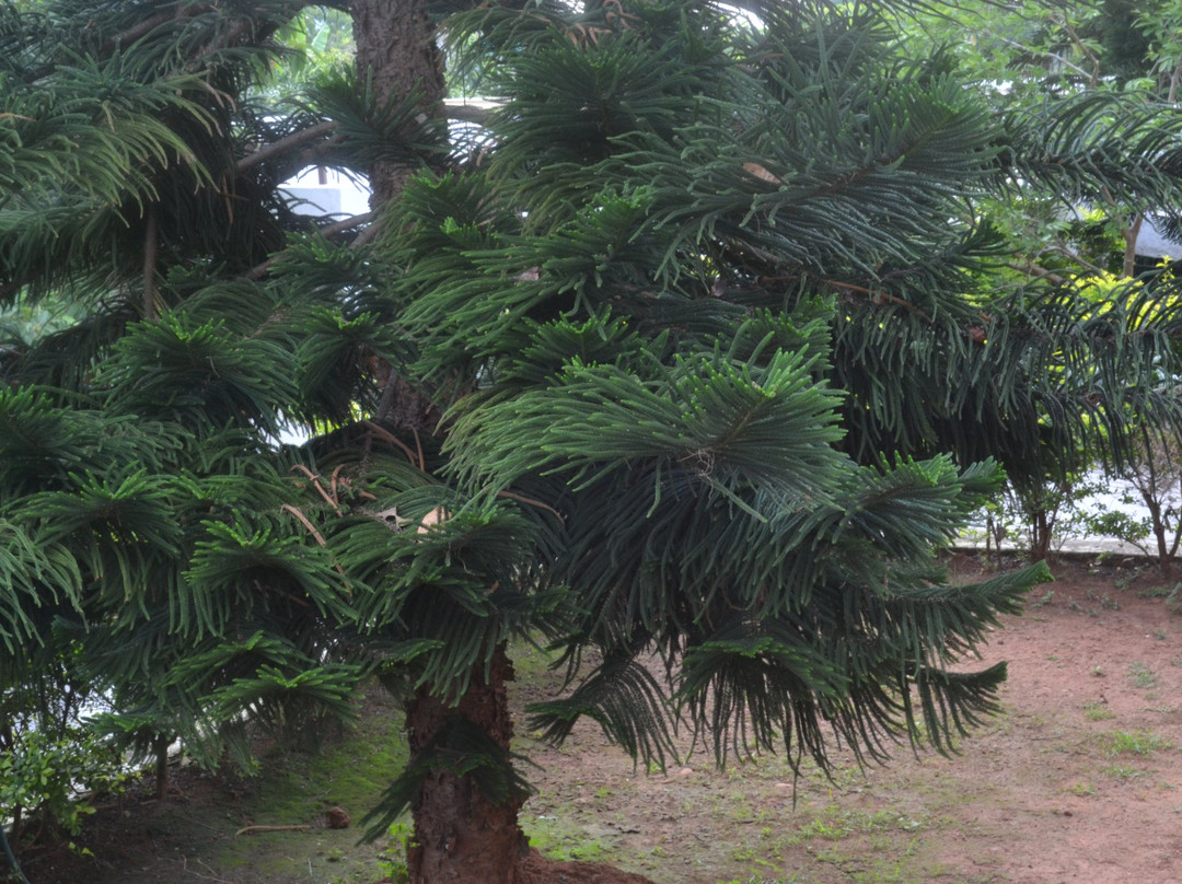 Deers Eco Home主图