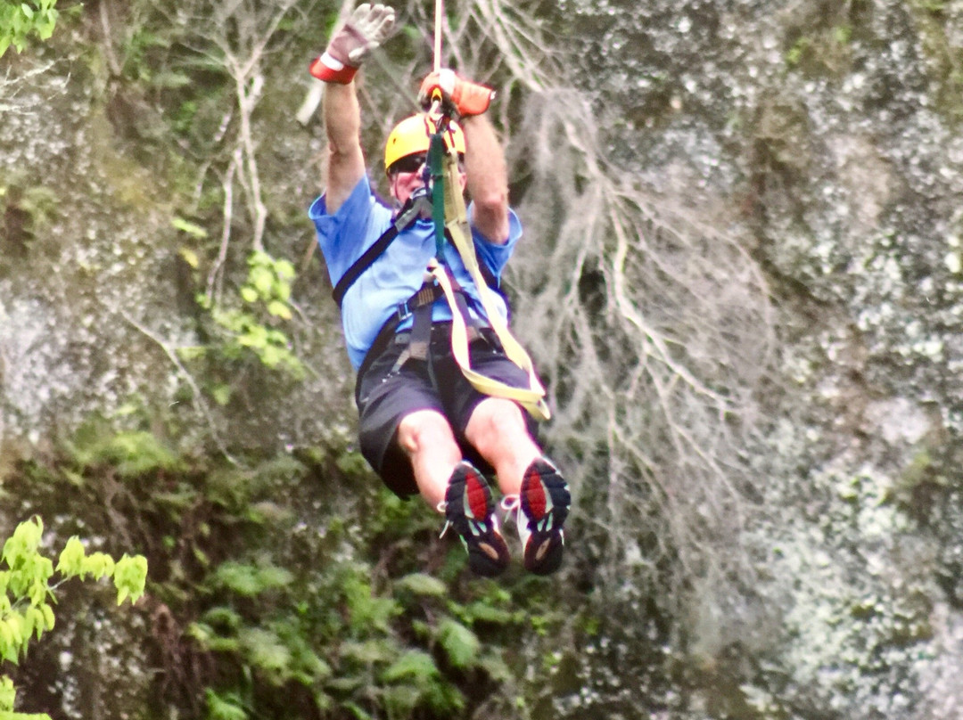 Florida Zipline Adventures景点图片