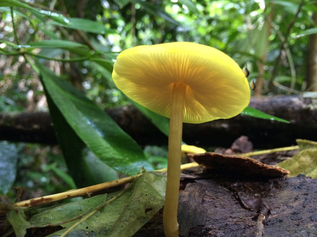 Clump Mountain National Park-Garners Beach必去景点