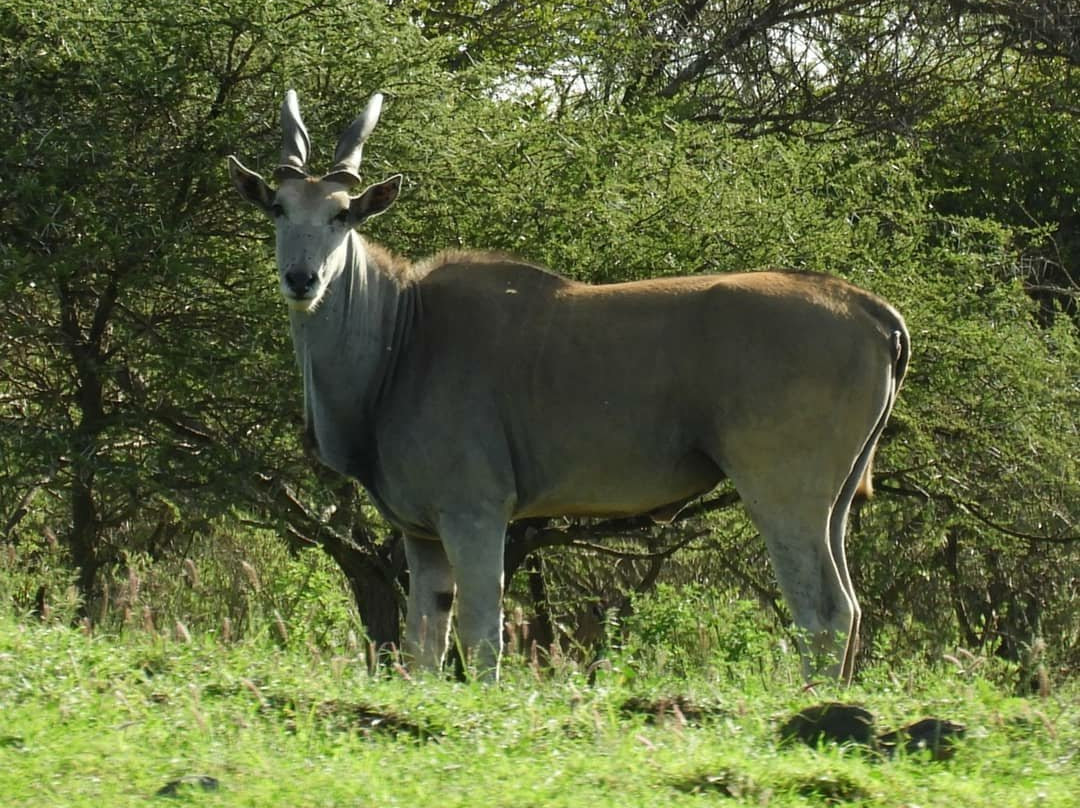 Polokwane Game Reserve-波罗关必去景点