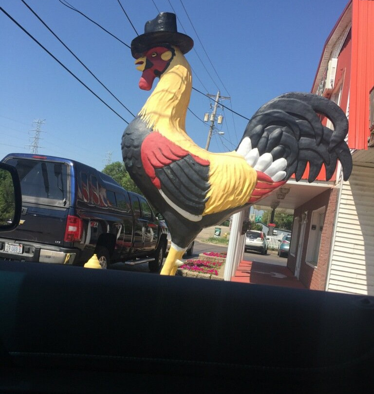 Rooster in a Top Hat-East Peoria必去景点