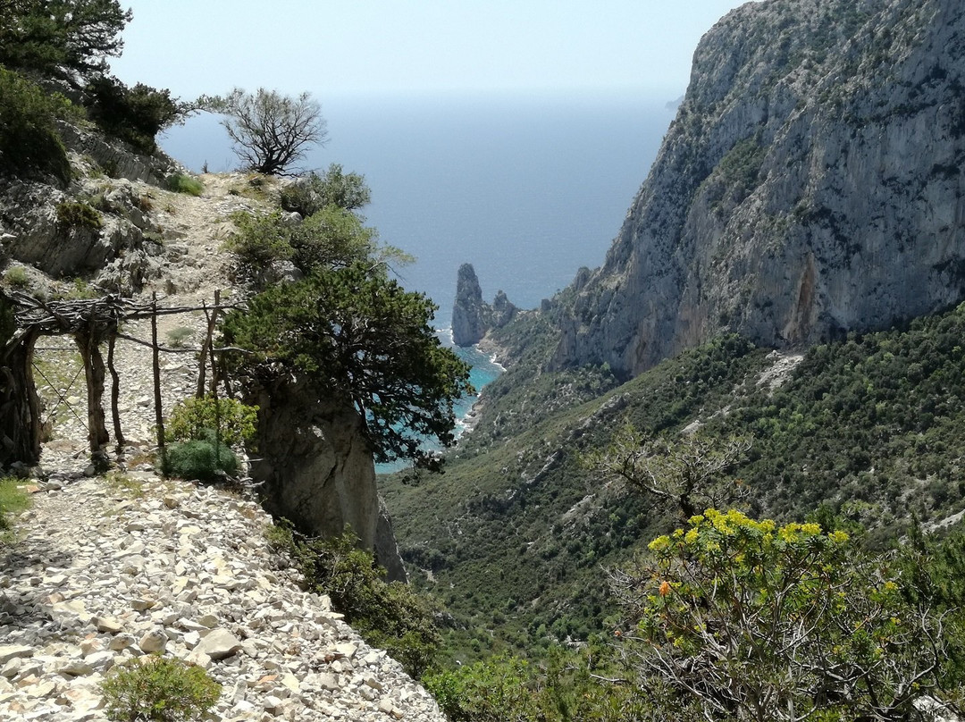Wild Sardinia景点图片