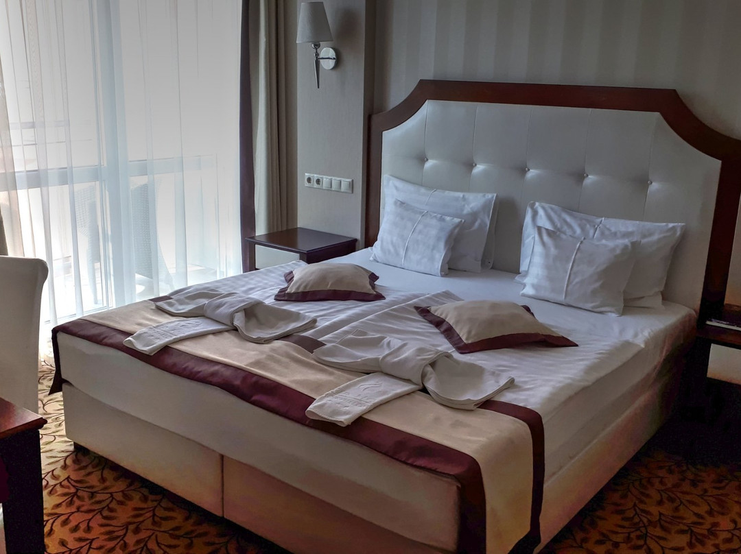 Elixir Medical Wellness Hotel主图