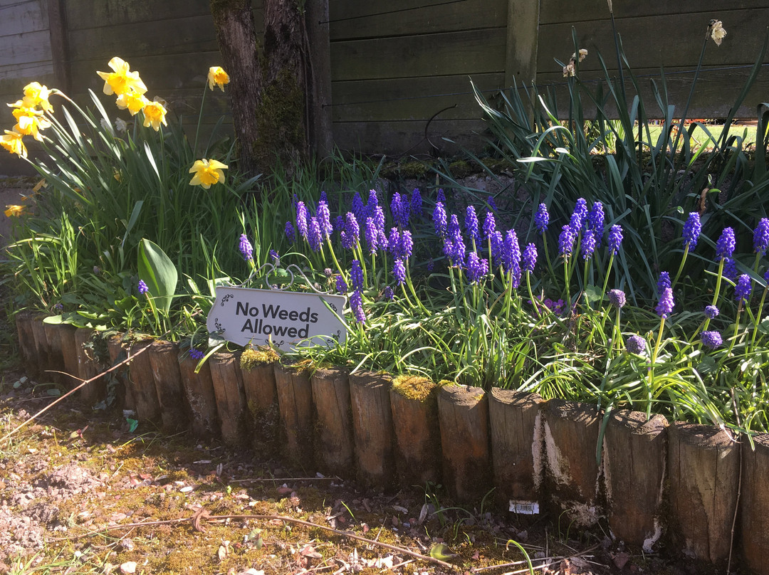 绿地住宿加早餐酒店主图