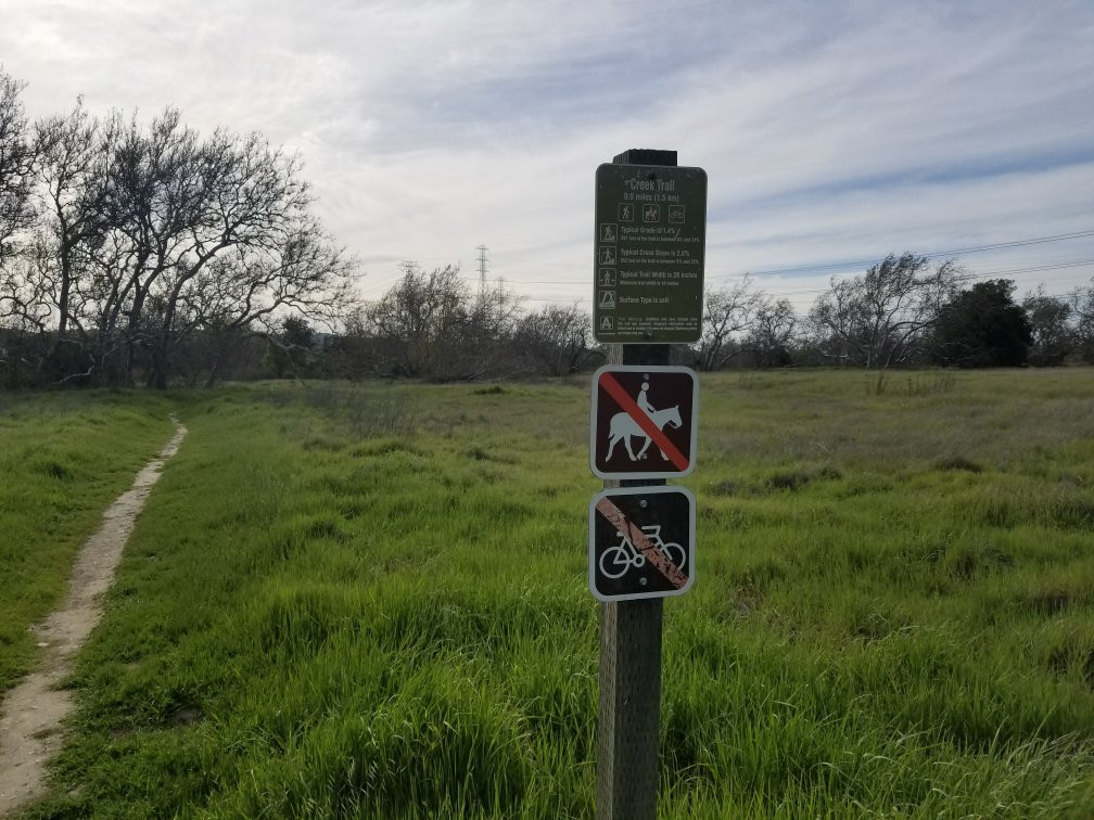 Sycamore Grove Regional Park景点图片