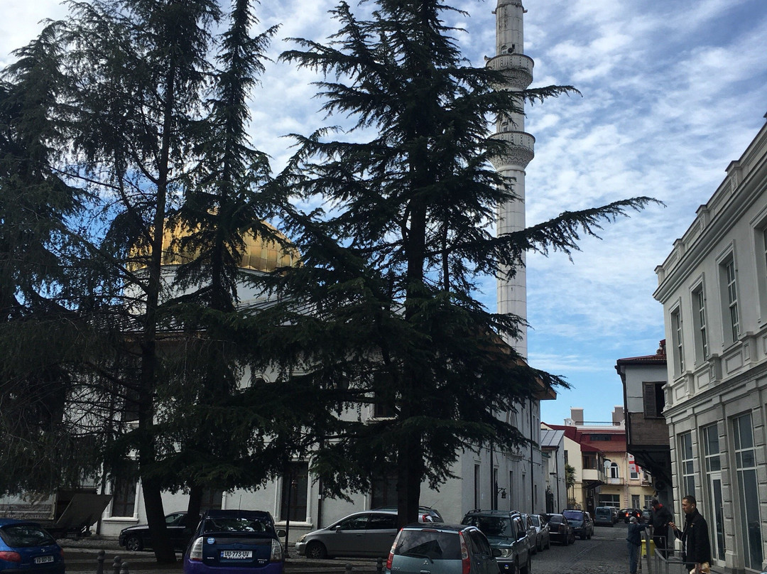 Mosque Batumi景点图片