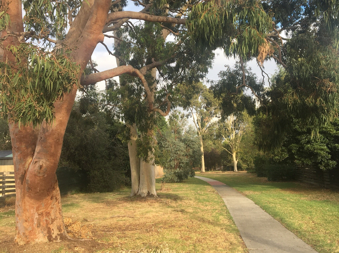 Lorna Wilson Reserve-Narre Warren必去景点
