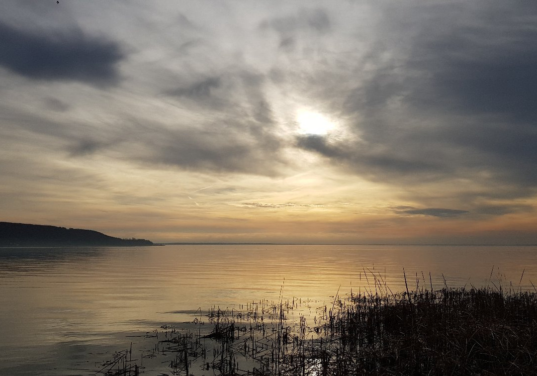 Balatonfuzfo旅游攻略图片