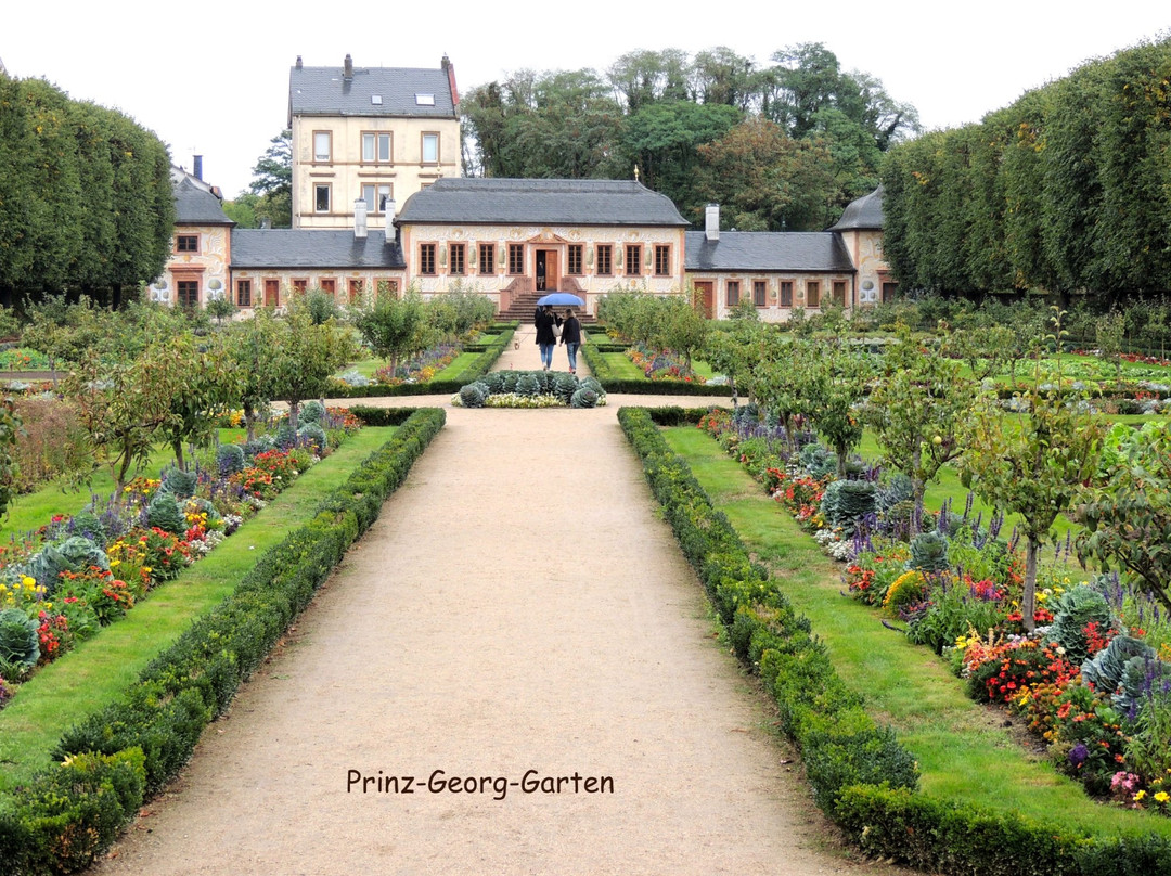Prinz-Georg-Garten景点图片
