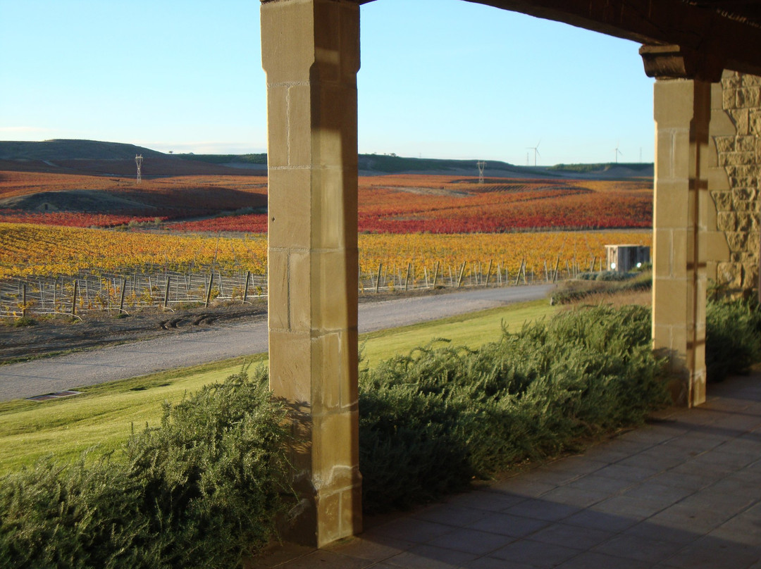 Bodega Pagos de Araiz-Olite必去景点