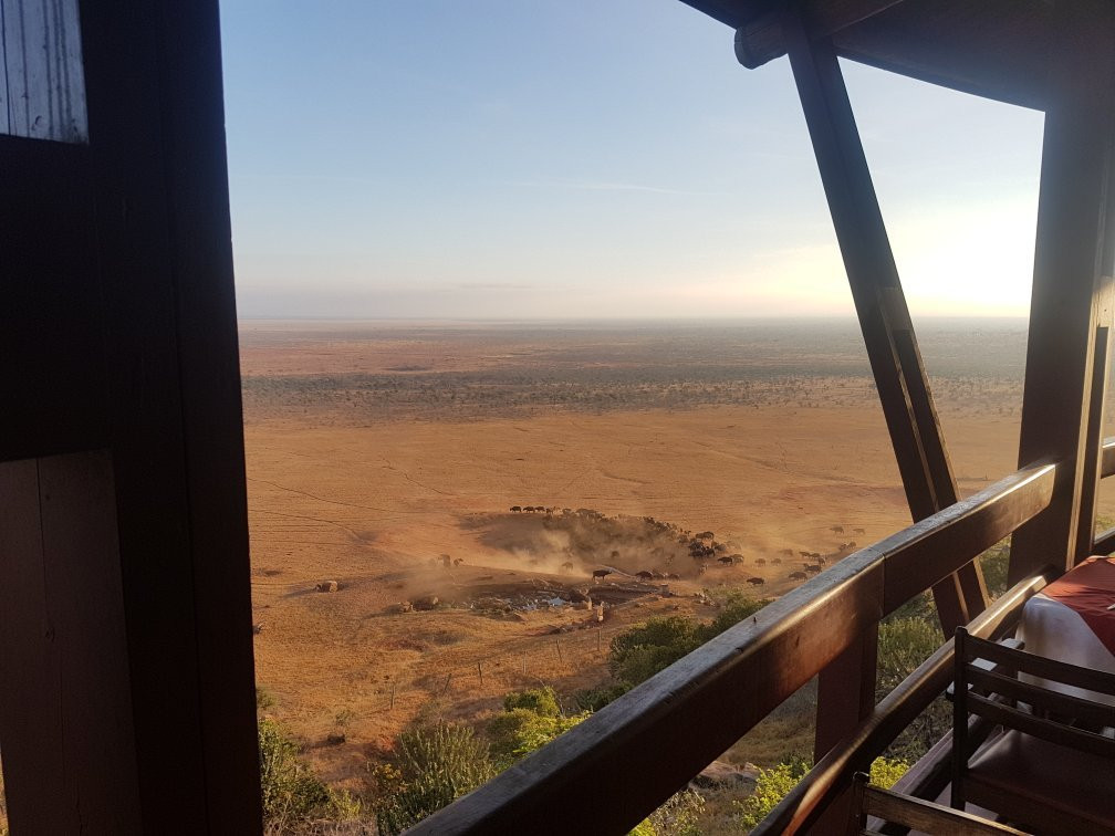 Big 7 Kitheka Safaris Day Tours景点图片