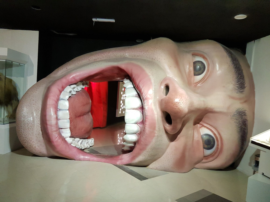Professor Bazima Science Park景点图片
