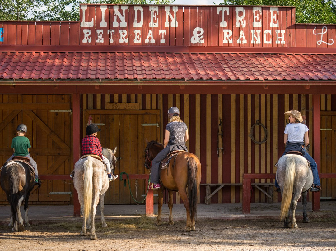 Linden Tree Retreat & Ranch - Private Day Tours景点图片