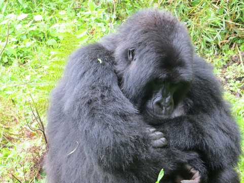 The Mane Tours Ltd.-Ruhengeri必去景点